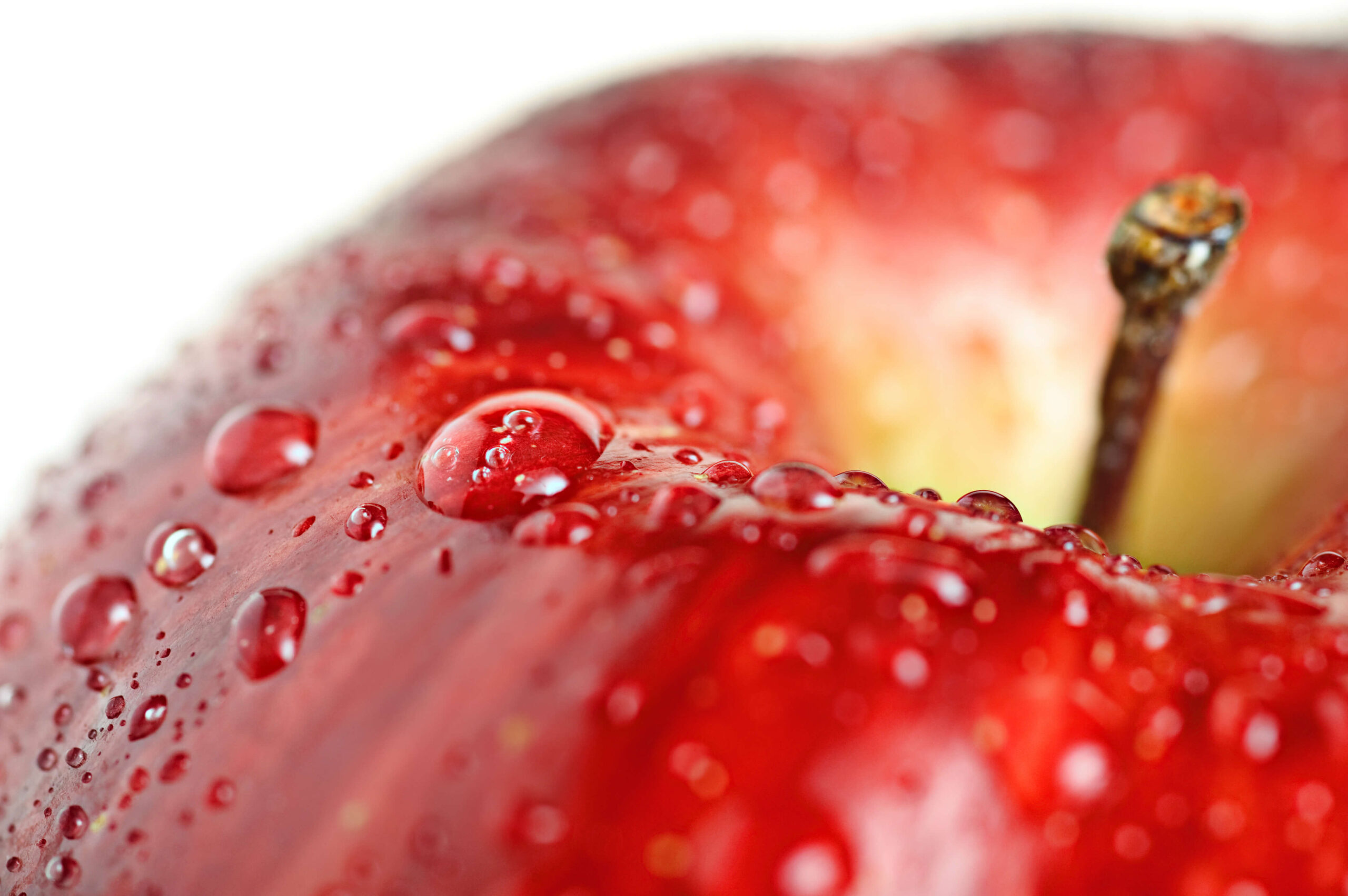 close-up red apple with water drops