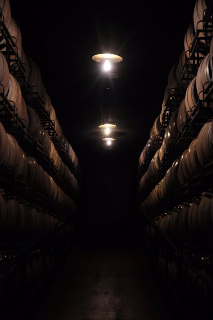 dark cellar with stored wooden barrels